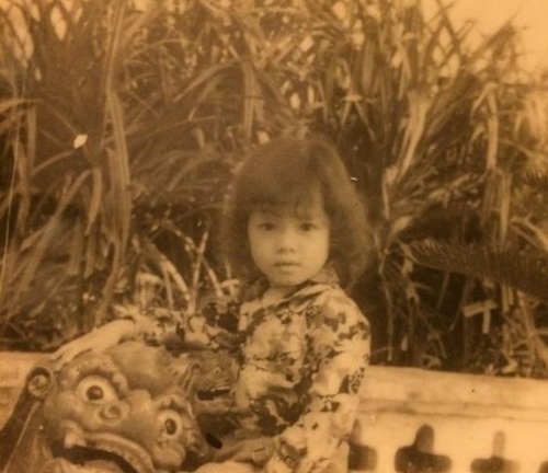 Lý Nhã Kỳ, Jennifer Phạm, Ngọc Trinh bị nghi 